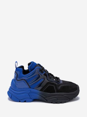 ASH Active Låga Sneakers Dam Svarta Blå | LENCYZI-39