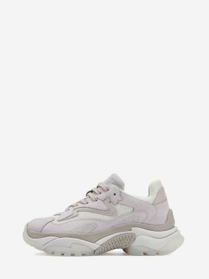 ASH Addict Chunky Sneakers Dam Vita | LQAPMBX-56