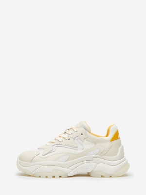 ASH Addict Chunky Sneakers Dam Vita | OLCBGYR-80