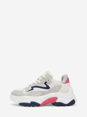 ASH Addict Låga Sneakers Dam Grå Vita | KFMRBJH-54