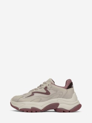 ASH Addict Låga Sneakers Dam Shell / Pinkwood / Ganache | SKOPMUI-45