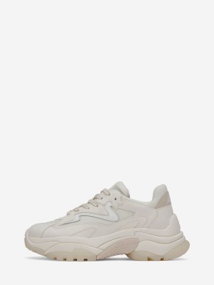 ASH Addict Låga Sneakers Dam Vita | BXDYEPS-38