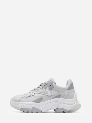 ASH Addict Låga Sneakers Dam Vita | GFYQBAP-67