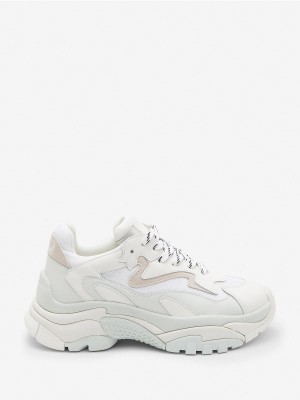 ASH Addict Låga Sneakers Dam Vita | WJQCGPR-32