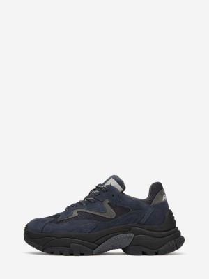 ASH Addict Låga Sneakers Dam Whale / Fog / Whale | TWNGJPI-51