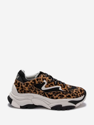 ASH Addict Ter Låga Sneakers Dam Bruna | TWINDXZ-40