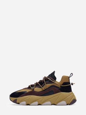 ASH Express Låga Sneakers Herr Svarta Bruna Kaffe | TJXYNBQ-91