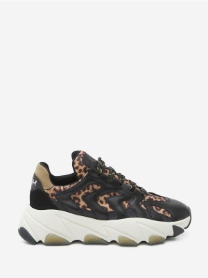 ASH Extreme Låga Sneakers Dam Svarta | EPACKLR-78