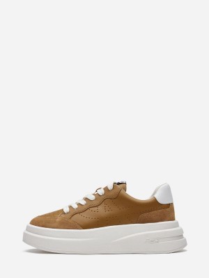 ASH Impuls Låga Sneakers Dam Bruna Vita | VUGNAKF-72