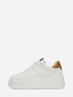 ASH Match Låga Sneakers Dam Vita Bruna | XVKZEQT-39