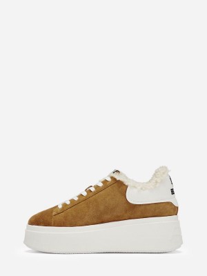 ASH Moby Be Kind Fur Låga Sneakers Dam Bruna Vita | BWIZQNG-95