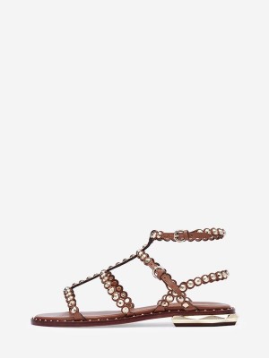 ASH Pamela Platta Sandaler Dam New Cinnamon | IESJGLH-19