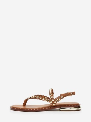 ASH Patchy Platta Sandaler Dam New Cinnamon | KIJWHMP-73