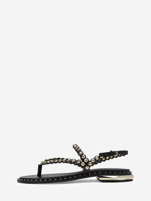 ASH Patchy Platta Sandaler Dam Svarta | HLAUCRB-08