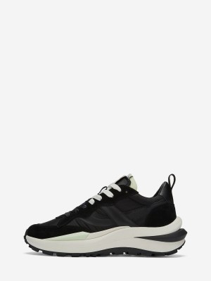 ASH Spider 620-01 Låga Sneakers Dam Svarta Svarta | WFUERJL-95